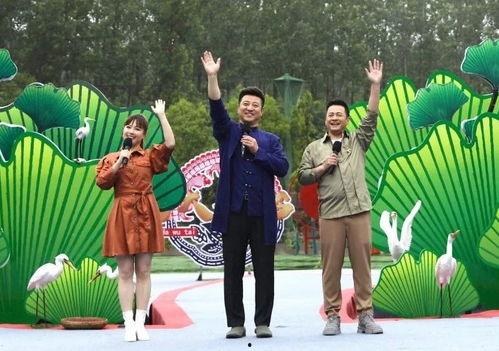 医生阿姨爆料视频大全最新,最新爆料视频大全深度解析  第1张